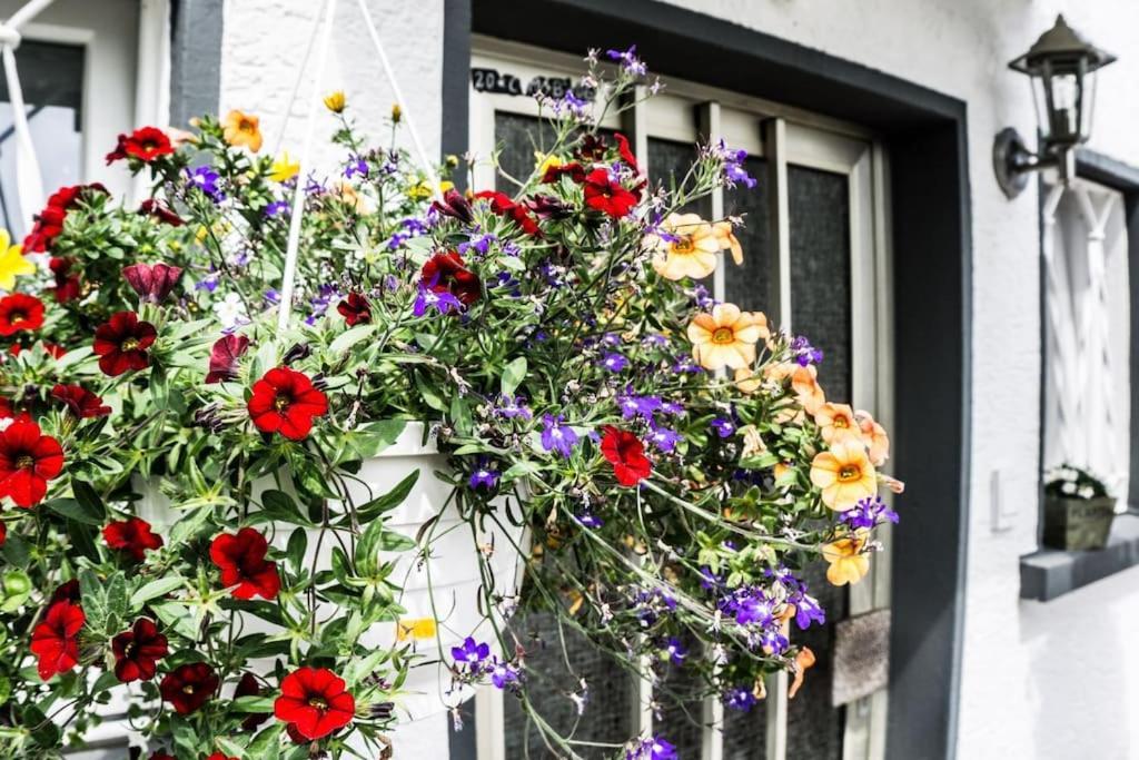 Schoenes Haus Mit Grossem Garten زيلينغنشتات المظهر الخارجي الصورة
