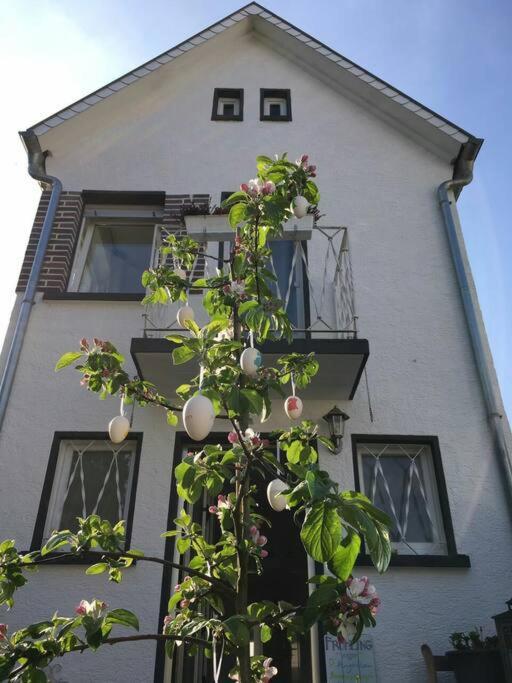 Schoenes Haus Mit Grossem Garten زيلينغنشتات المظهر الخارجي الصورة